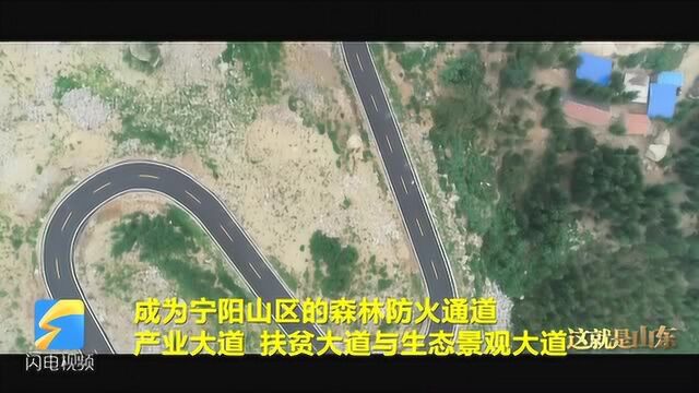 这就是山东丨串联乡村好风光 泰安宁阳县126公里环山路全线贯通