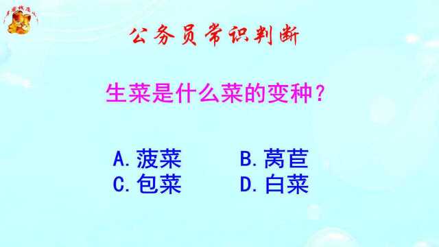 公务员常识判断,生菜是什么菜的变种?难倒了学霸