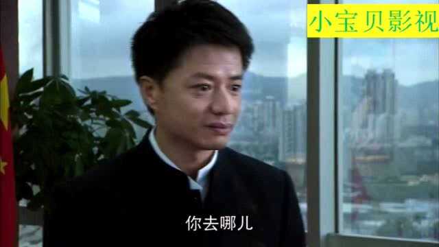 农村小伙被公司开除,两年后衣锦还乡,霸气买下整个公司