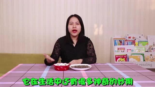 吃剩的瓜子皮别再扔掉,还有很多的神奇妙用,后悔现在才知道