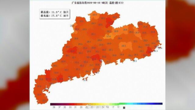 台风组队来了!“米克拉”刚生成,高明的天气是……