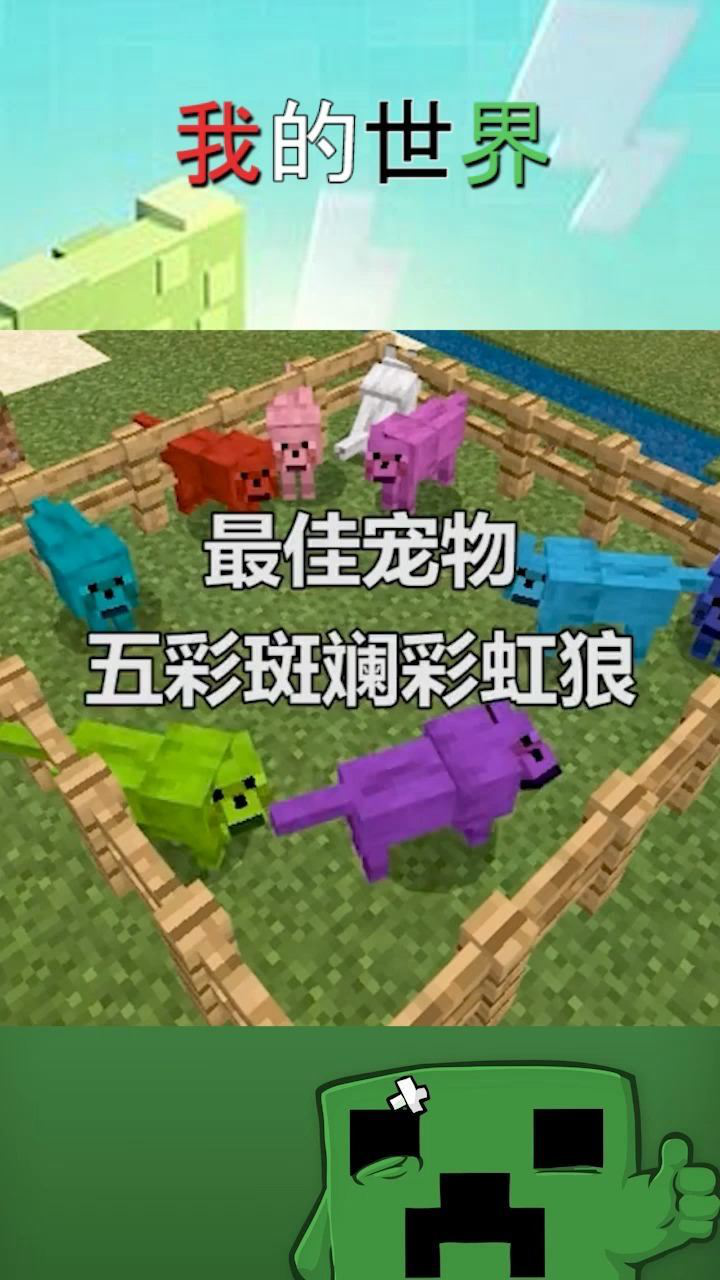 我的世界五彩斑斓的彩虹狼你能集齐几种颜色呢