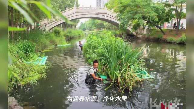 影像记录 |清流入海——河北秦皇岛城区水系治理工程