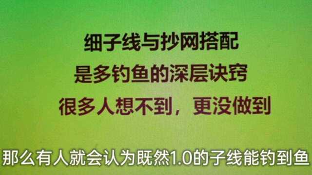 用细子线能多钓鱼,就需要用抄网做保障