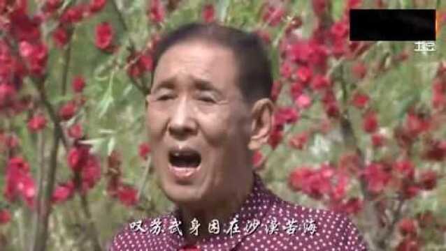 京剧《苏武牧羊》唱得真好听,这样的唱腔,会让很多人喜欢上京剧