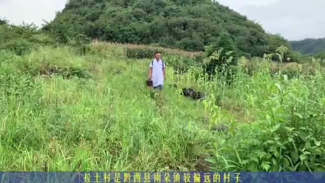 中国医师节 | 医者精诚 仁心济世