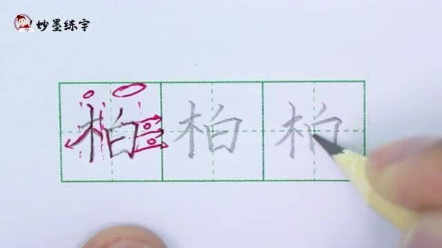 妙墨练字:硬笔书法部编版语文二年级上册同步生字“柏”字的写法