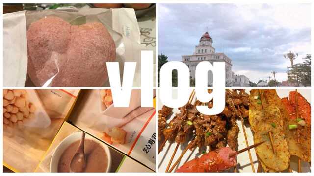 vlog|日常|网易严选开箱|前门步行街|木屋烧烤|麦当劳早餐