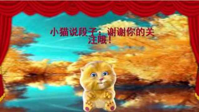 小猫分享:今年的钱怎么这么难挣呢,说出了真相呀!