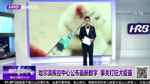 事关打狂犬疫苗!哈尔滨疾控中心公布最新数字 便于市民参考