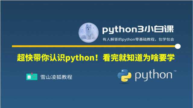 11 python教程|Python初识及为什么要学 轻松学py