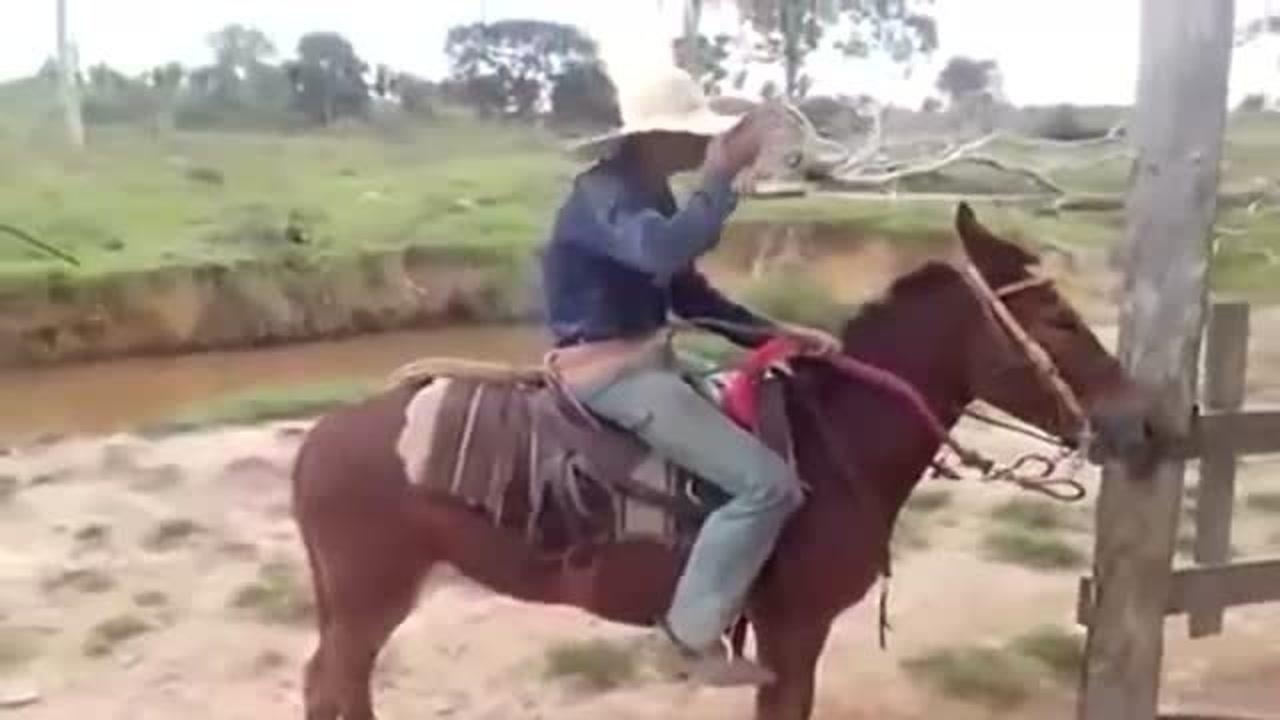 牛仔试着骑一匹犟骡子骡子都快跳上天了