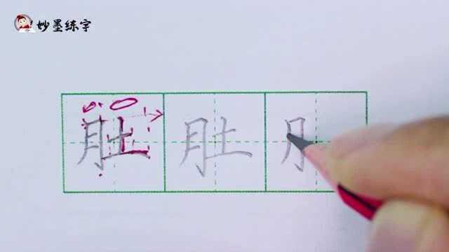 妙墨练字:二年级上册同步生字“肚”的写法及应用