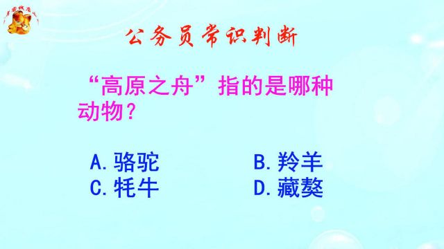 公务员常识判断,高原之舟指的是哪种动物?难不倒藏族考生