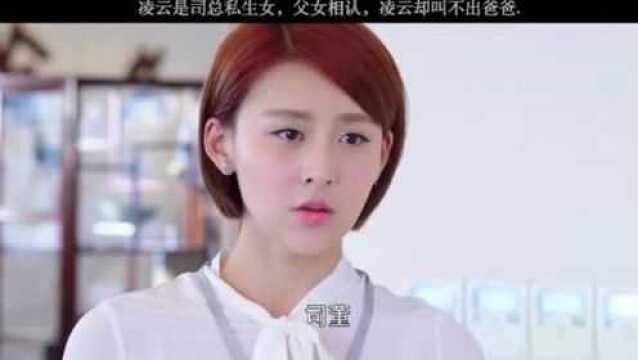 凌云是司总私生女,父女相认,凌云却叫不出爸爸!