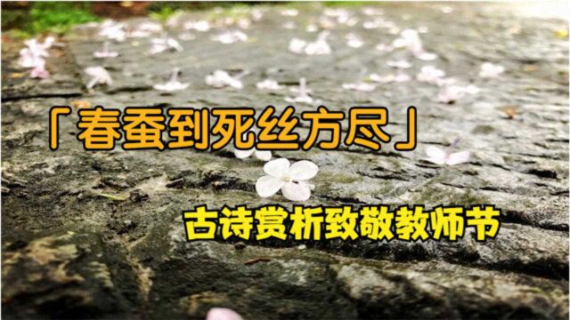 致敬教师节,赏析古诗「春蚕到死丝方尽,蜡炬成灰泪始干」