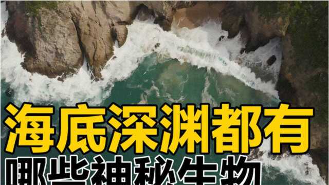 海底有多深?海底都有什么神奇生物?