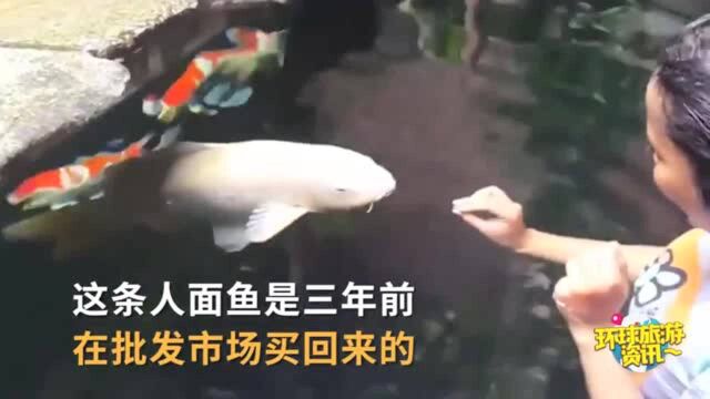 云南景区惊现“人面鱼”,看到鱼正面,游客惊慌被吓哭!