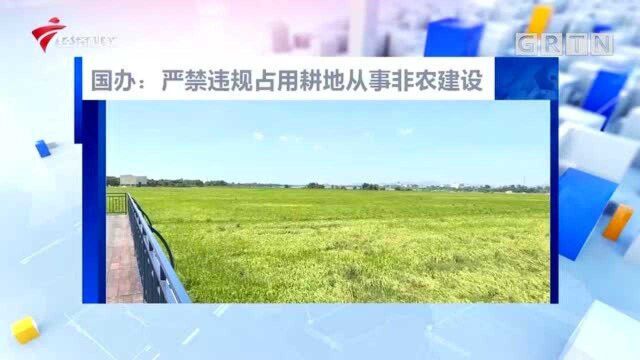 国办:严禁违规占用耕地从事非农建设