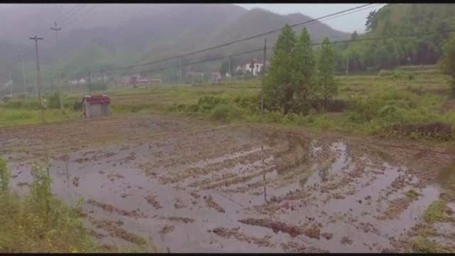 一个无比正常的清楚,在中国避暑圣地浙江莫干山