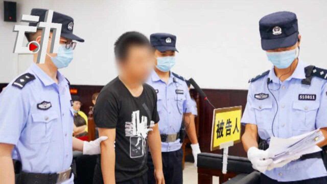 谭松韵母亲被撞身亡案一审宣判:法院释疑为何只判6年?