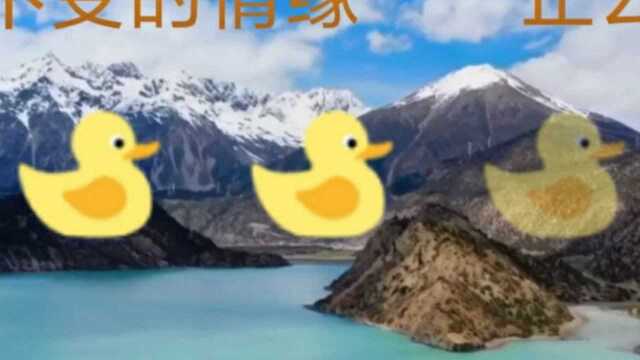 经典情歌《不变的情缘》歌词走心,太好听了,红遍大江南北