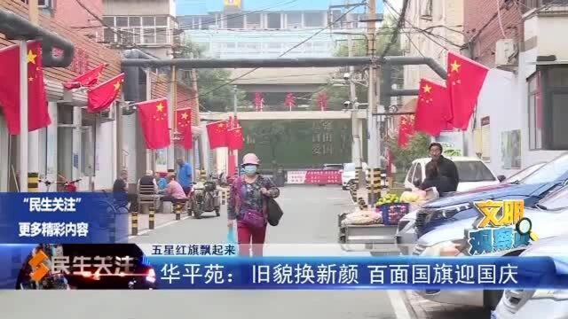 文明观察员——华平苑:旧貌换新颜 百面国旗迎国庆