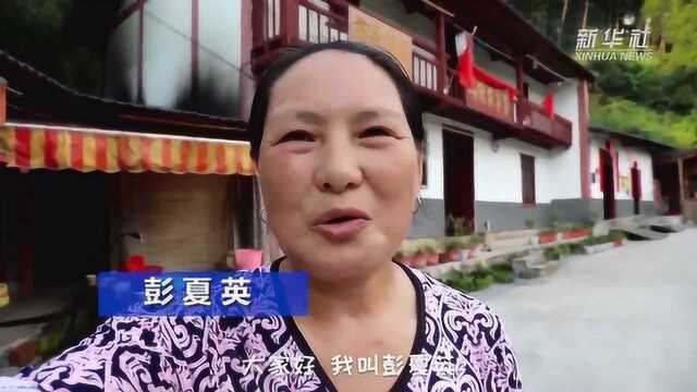 20200925“幸福花