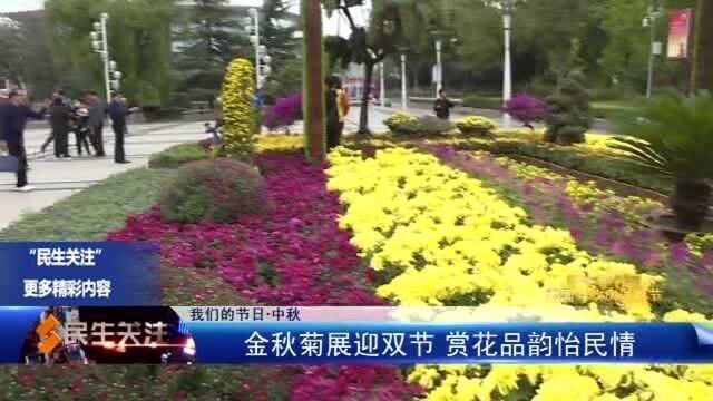 金秋菊展迎双节 赏花品韵怡民情