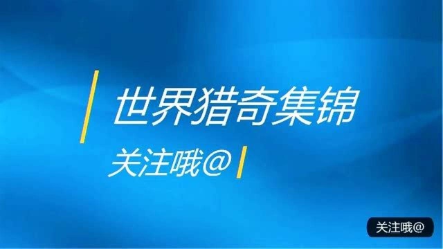 世界尽头景观!海拔2168米瑞士少女峰悬崖步道,镶在石头上