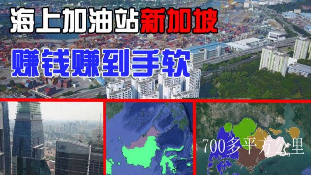 同样毗邻马六甲海峡,为啥只有新加坡富了起来?就因为华人多吗?