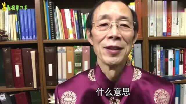 陈平:用市场商业文化取代人类积累的理想和知识教育,很危险