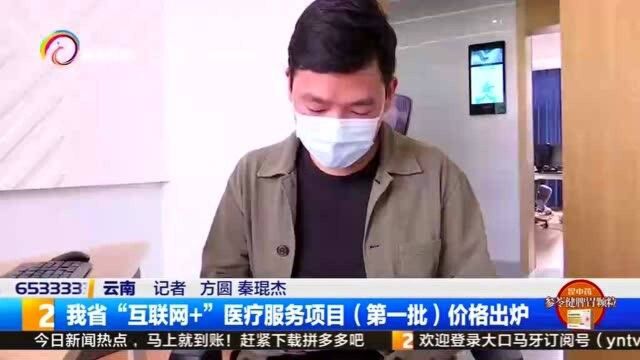 我省“互联网+”医疗服务项目(第一批)价格出炉