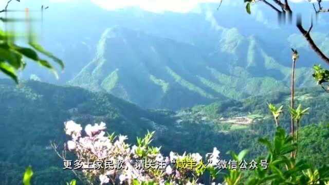 一首超好听的土家民歌《大山里的土家娃》,山里的孩子早当家