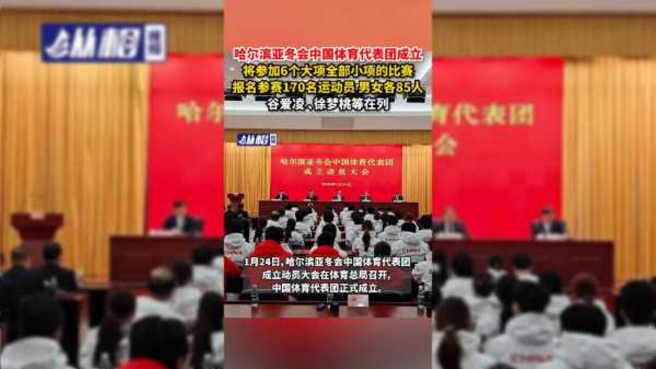 哈尔滨亚冬会中国体育代表团成立,将参加6个大项全部小项的比赛,报名参赛170名运动员,男女各85人,谷爱凌 、徐梦桃等在列