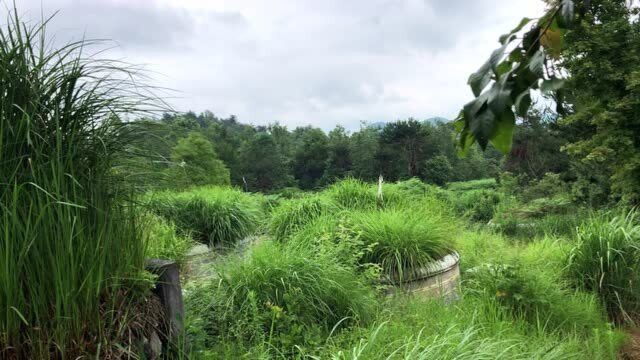 耿明远 阴宅风水实践案例为什么都要去考量名坟,因为土坟他们看不出