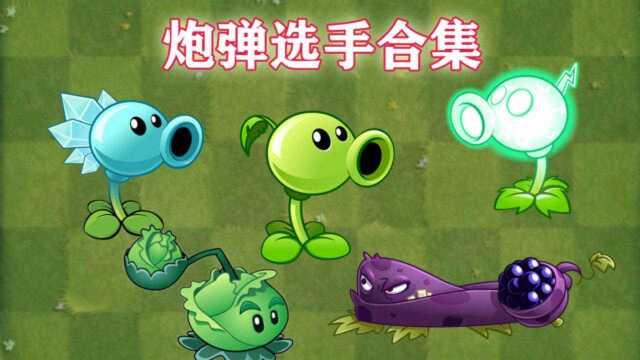 Pvz2超Z联赛,炮弹选手大集合,谁是王者