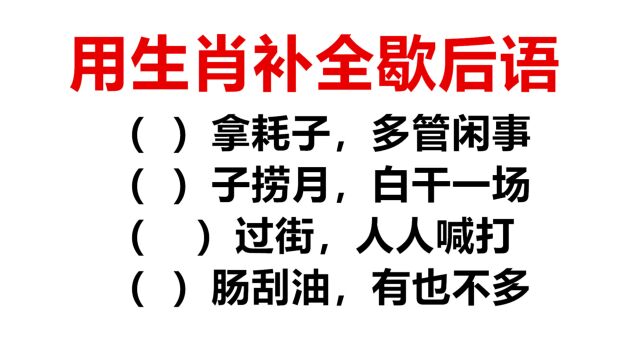 有趣的十二生肖歇后语,你知道几个?小学生不会第4个,你会吗?