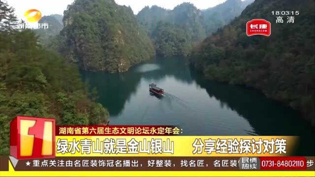 湖南第6届生态文明论坛永定年会 绿水青山就是金山银山 分享经验探讨对策