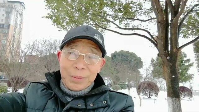 踏雪寻梅