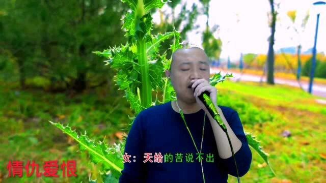 新白娘子传奇插曲《情仇爱恨》,听过的人都老了,爱过了恨过了