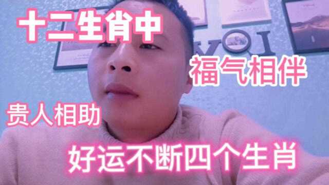 十二生肖中,有福气相伴,贵人相助,好运不断的四个生肖1