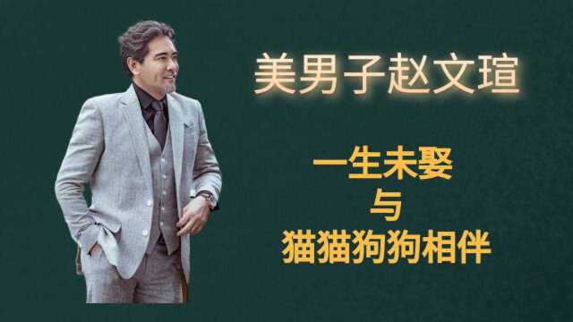 美男子赵文瑄:凭《大明宫词》一夜爆红,为何60岁未婚与猫狗相伴