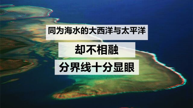 太平洋与大西洋都是海水,却不相融,分界线明了