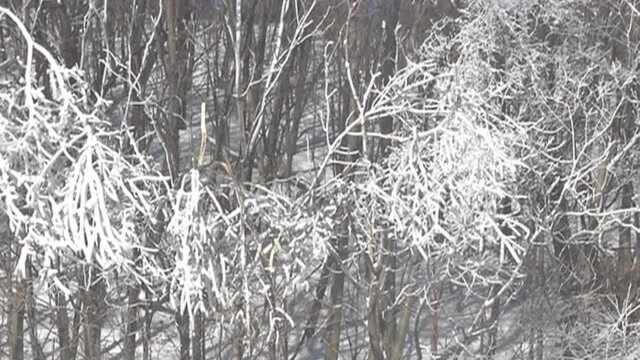 双鸭山:冰雪梳妆 迎客名片