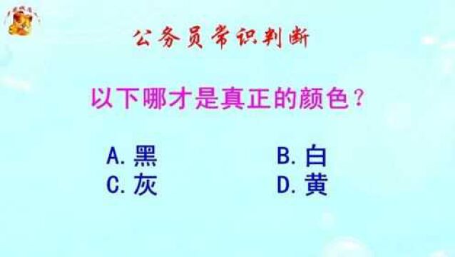 公务员常识判断,以下哪才是真正的颜色?难倒了学霸