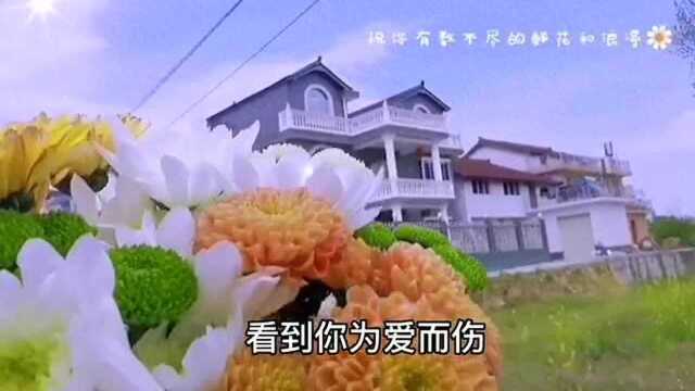 《没有人知道我有多么爱你》