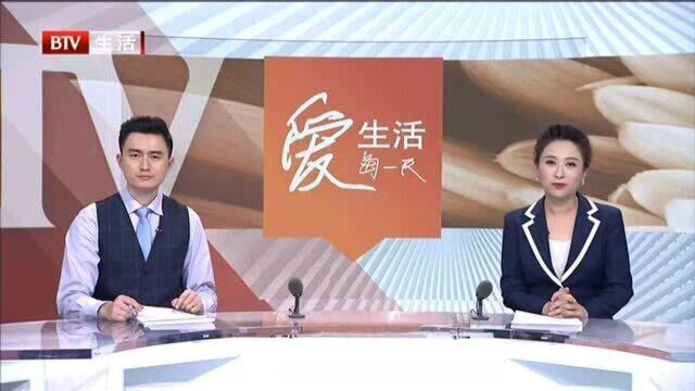 2020十大首都最美家庭揭晓