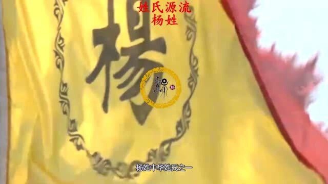 名门修谱:姓氏源流杨姓