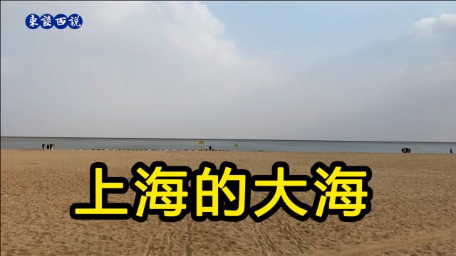 上海金山沙滩看大海,海水的清澈度超出预期